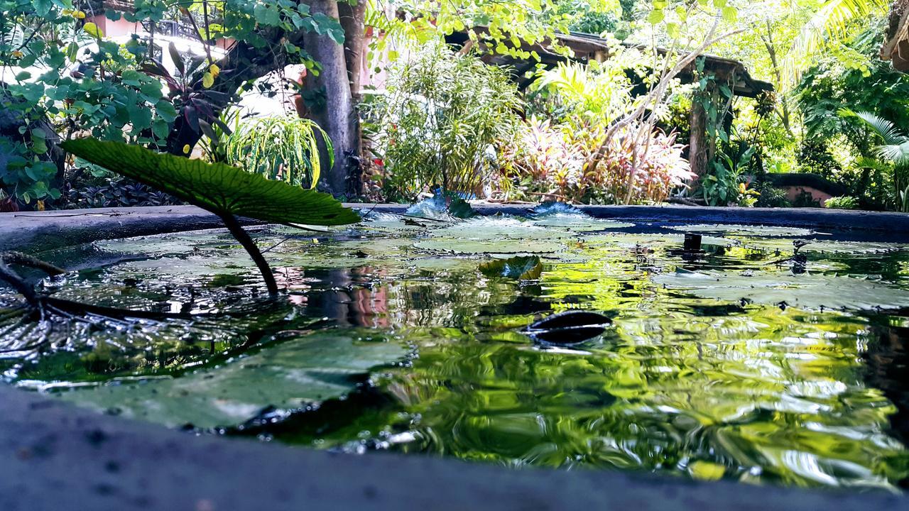 Casa Hotel Mare Nostrvm Manuel Antonio Exterior foto